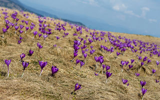 10 locuri din România pe care trebuie neapărat să le vezi
