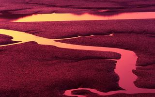 Trombofilia – ce este, cum se manifestă și ce riscuri implică