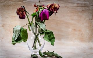 Zodia care va da față în față cu trecutul: persoana care te-a rănit cel mai mult se va întoarce