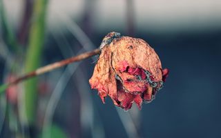 Zodiile care vor avea un sfârșit de octombrie care le va da viața peste cap. Universul le forțează să o ia de la capăt