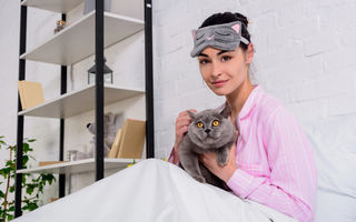 De ce vin pisicile lângă tine când te doare ceva