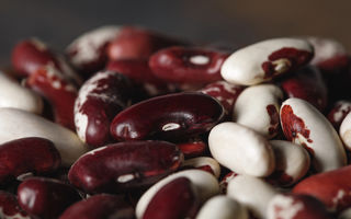 Alimente care conțin fosfolipide: surse naturale pentru sănătatea creierului, ficatului și celulelor