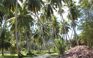 Cele mai scumpe insule din lume: paradisuri exclusiviste pentru vacanțe de lux