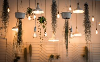 Lumină caldă sau rece? Cum alegi corect iluminatul pentru casa ta și starea ta de bine