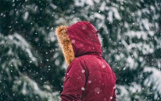 Jachetele care definesc stilul masculin în sezonul rece