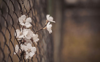 Horoscopul lunii martie: Schimbări, iubiri neașteptate și decizii care îți pot răsturna destinul