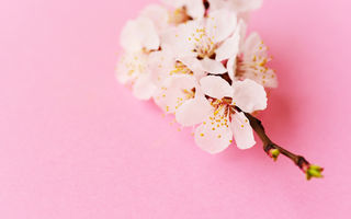 Horoscop 16 martie: O zi în care intuiția te poate ghida spre decizii importante