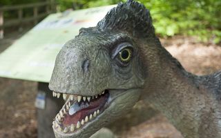 Top destinații din România pentru familii cu copii: locuri perfecte pentru vacanțe reușite