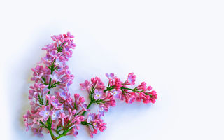 Horoscop 20 martie: Energie de schimbare și începuturi noi