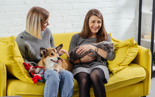 Ce spune despre tine modul în care te înțelegi cu animalele