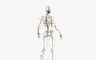 Coxartroza: cauze, simptome, tratament și tot ce trebuie să știi despre artroza șoldului