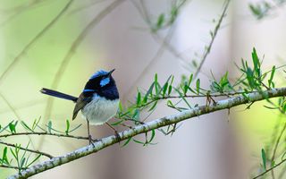 Horoscopul de weekend: Schimbare de ritm pentru Săgetători