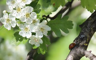 Horoscopul săptămânii 4-10 mai: Alegerile mici schimbă direcții mari