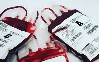 Reguli pentru donat sânge. Ce trebuie să știi înainte să mergi la centrul de transfuzie