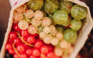 Beneficiile agrișelor. De ce sunt bune pentru sănătate și cum le poți consuma