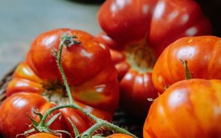 Ce să faci cu roșiile prea coapte. Idei simple, gustoase și economice ca să nu le arunci