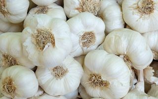 Se poate congela usturoiul? Metodele prin care îi păstrezi aroma mai mult timp