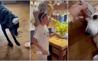 VIDEO - Meghan Markle, de nerecunoscut la petrecerea de 45 de ani: a dansat desculță. Cum a filmat-o Prințul Harry