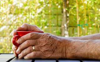 Poate ceasul biologic să fie întors înapoi? Ce spun studiile despre întinerirea organismului