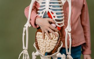 Ce legătură există între microbiom și longevitate. Secretul din intestin pe care cercetătorii îl studiază intens