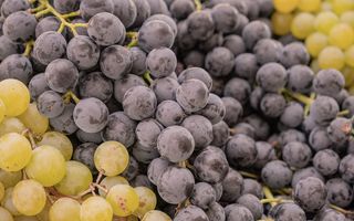 Strugurii, fructul longevității? Ce face resveratrolul și de ce merită să-i consumi toamna