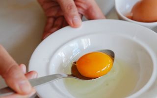 Alimente care conțin fosfolipide. Unde se găsesc și de ce sunt importante pentru organism