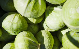 Ce condimente se pun la varza murată. Ingredientele care îi dau gust bun, aromă și o ajută să se păstreze corect