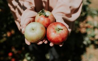 Cum păstrezi merele peste iarnă fără să se strice. Trucuri simple ca să rămână tari și gustoase luni întregi