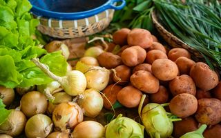 Ce legume nu trebuie păstrate una lângă alta. Combinațiile care grăbesc coacerea și alterarea
