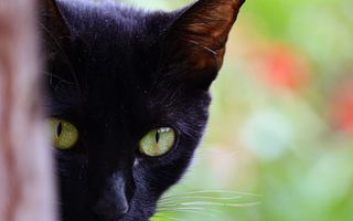 Marți 13, zi cu ghinion? Superstițiile pe care românii le respectă și ce se spune că nu este bine să faci
