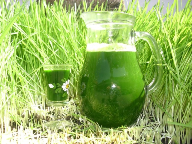 Secretul Siluetei Andreei Marin Iarba De Grau Divertisment Stiri Eva Ro